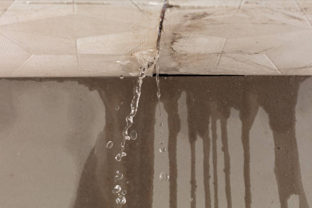 Professional Sewage Cleanup technician working in Warrensburg, IL